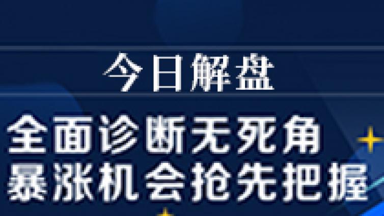 01月13日行情尽在掌握